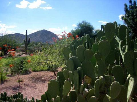 Scottsdale Cottonwoods Resort & Suites Buitenkant foto